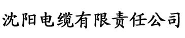 日韩欧美国产一区二区色欲av电缆厂logo